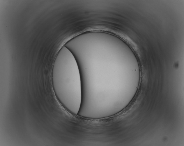 X0000097760945200803070833