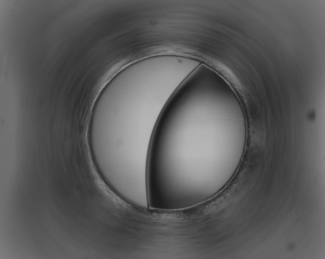 X0000097760946200803070833