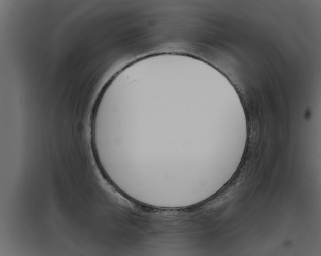 X0000097760950200803070833