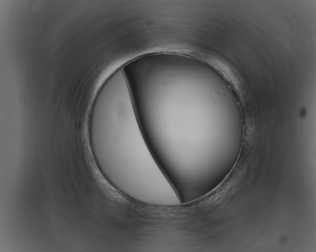 X0000097760952200803070833