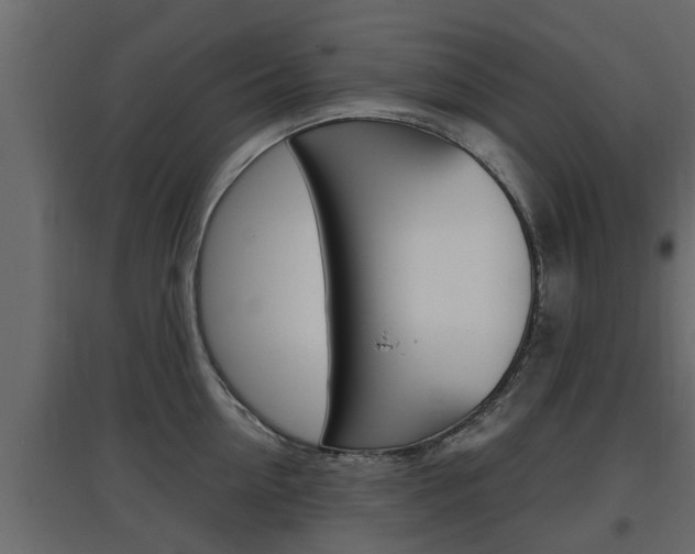 X0000097760954200803070834
