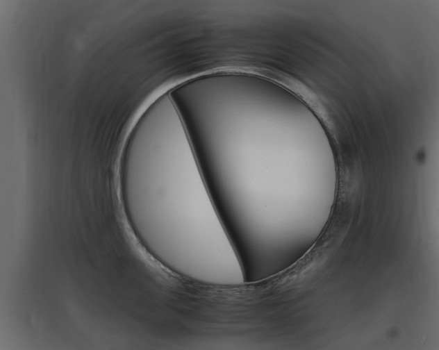 X0000097760955200803070834