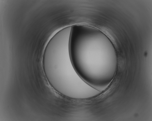 X0000097760956200803070834