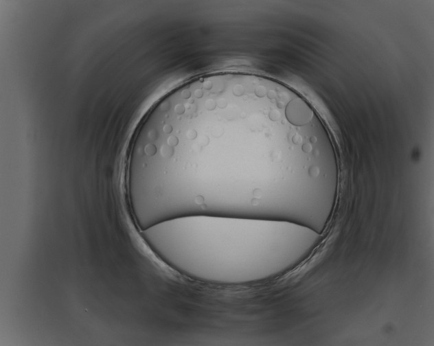 X0000097760957200803070834