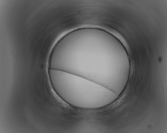 X0000097760958200803070834