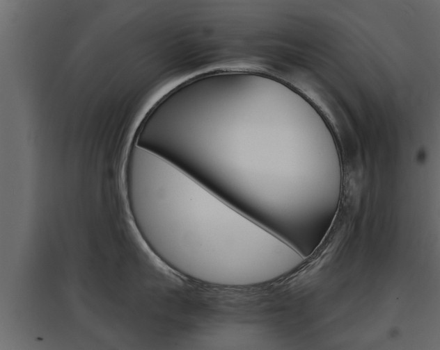 X0000097760959200803070834