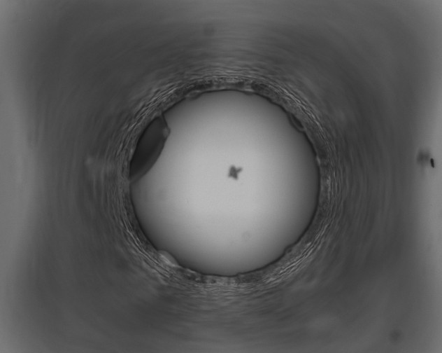 X0000097760961200803070833