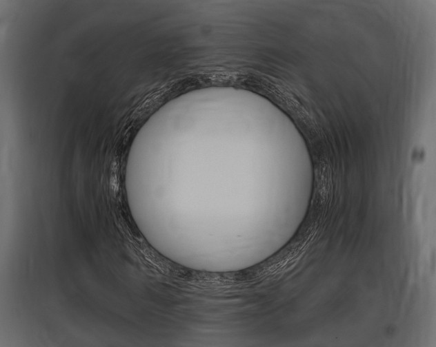 X0000097760962200803070833
