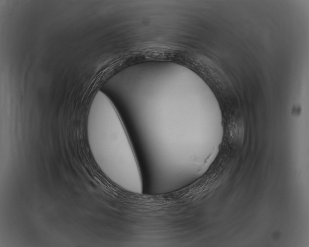 X0000097760964200803070833