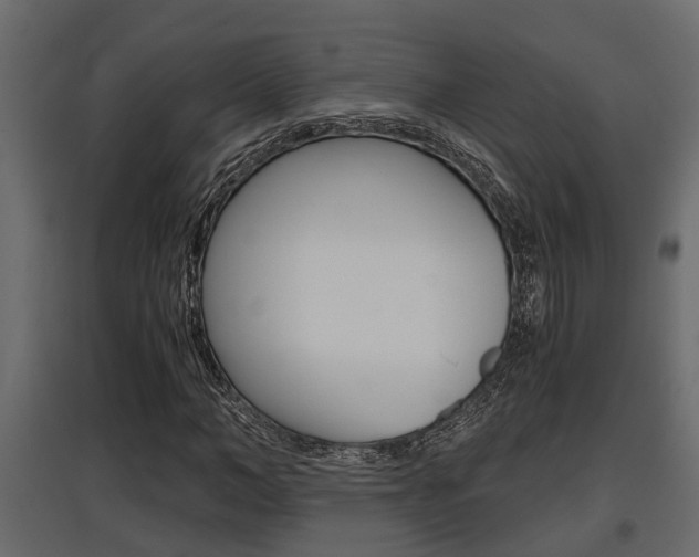 X0000097760966200803070833