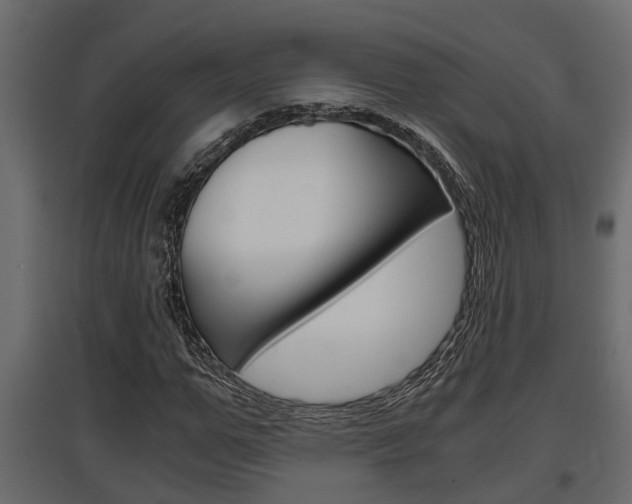 X0000097760967200803070833