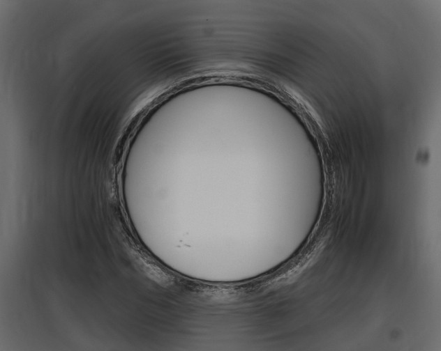 X0000097760970200803070833