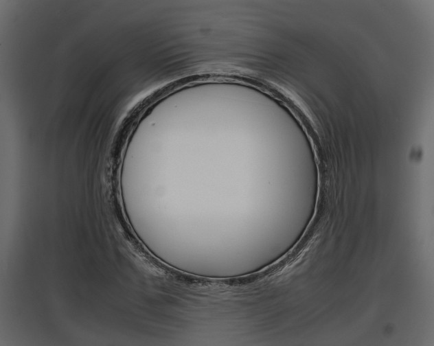 X0000097760971200803070833