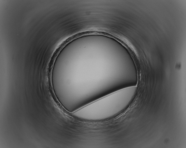 X0000097760972200803070833