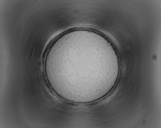 X0000097760974200803070833