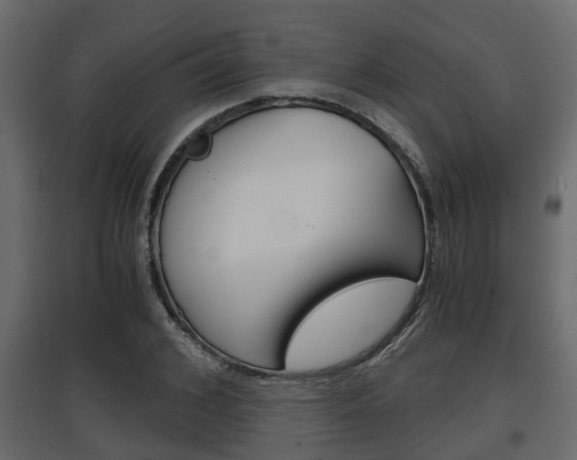 X0000097760976200803070833