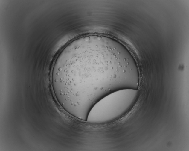 X0000097760978200803070833