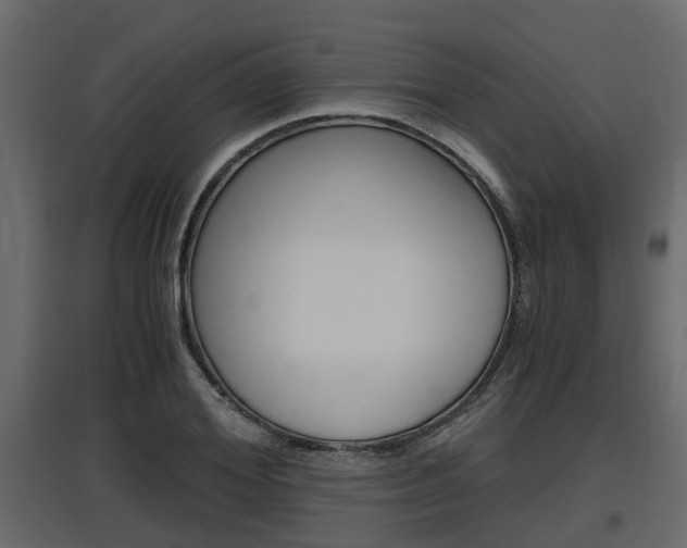 X0000097760980200803070833