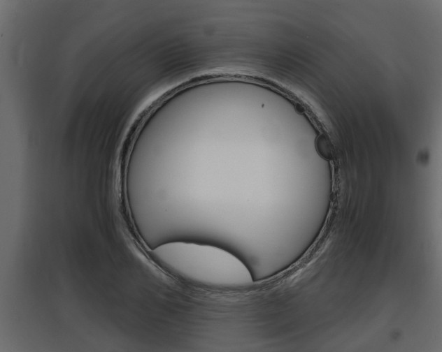 X0000097760982200803070833