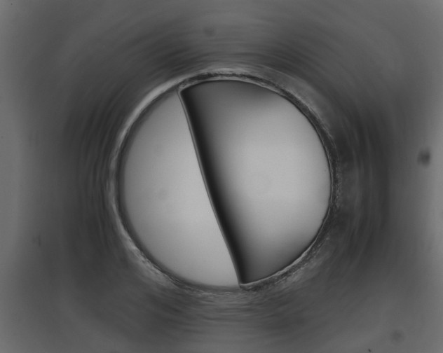 X0000097760984200803070833