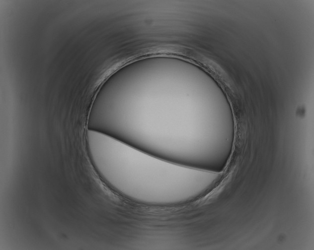 X0000097760985200803070833