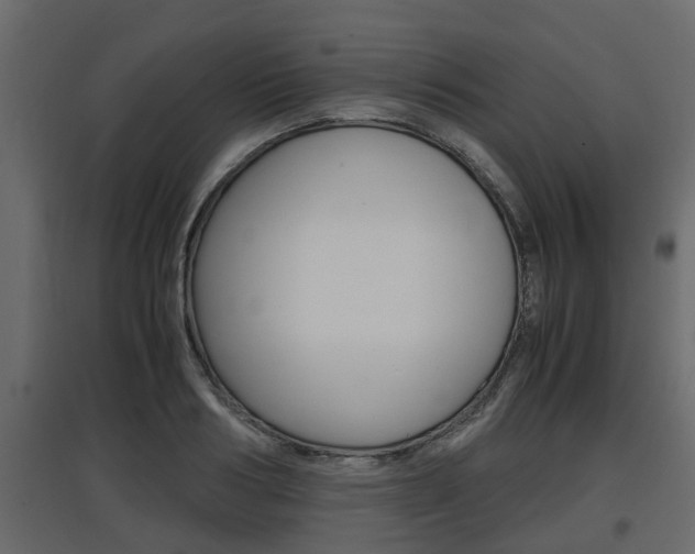 X0000097760986200803070833