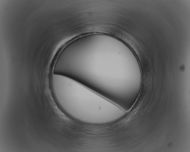 X0000097760987200803070833