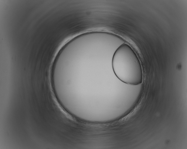X0000097760989200803070833