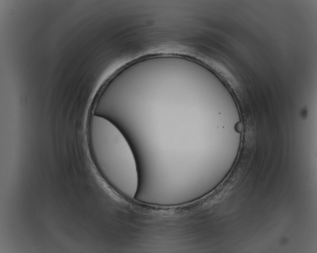 X0000097760990200803070833