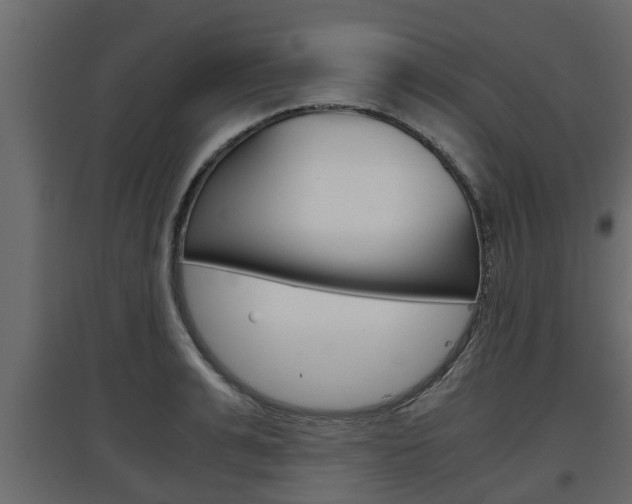 X0000097760991200803070832