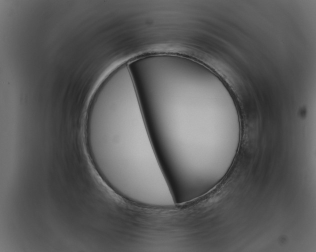 X0000097760992200803070832
