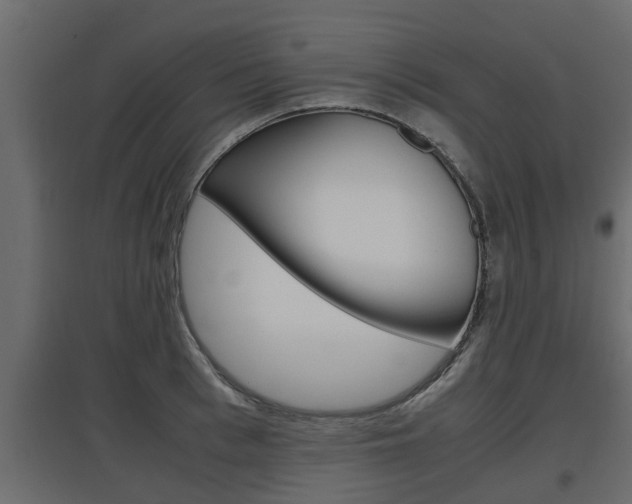 X0000097760993200803070832