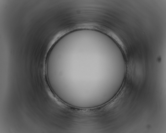 X0000097760994200803070832