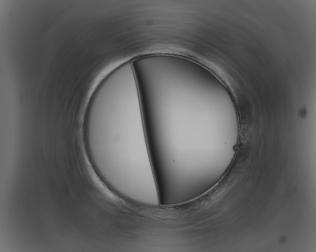 X0000097760995200803070832