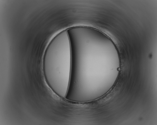 X0000097760996200803070832