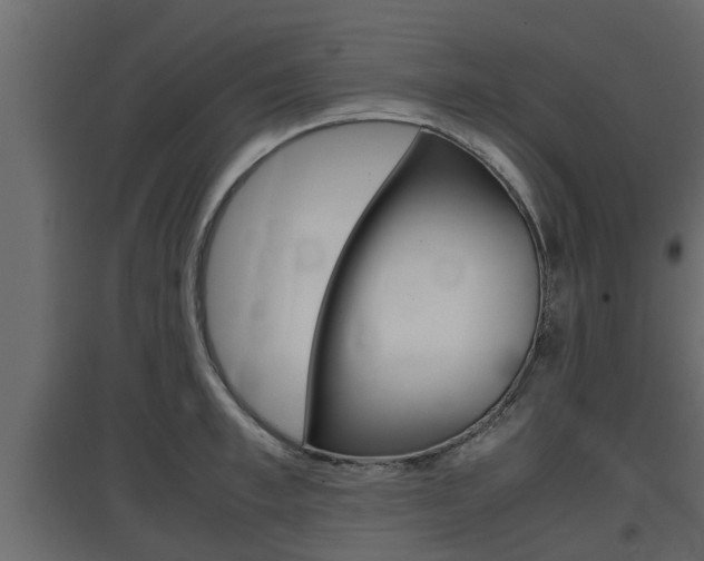 X0000097760997200803070832