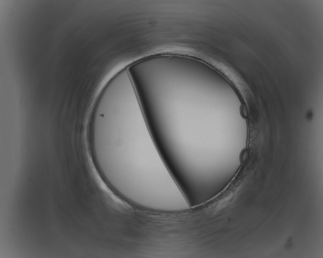 X0000097760999200803070832