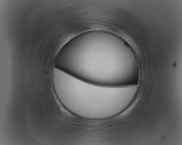 X0000097761001200803070832