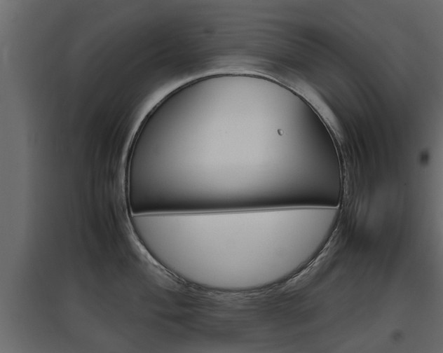 X0000097761004200803070832