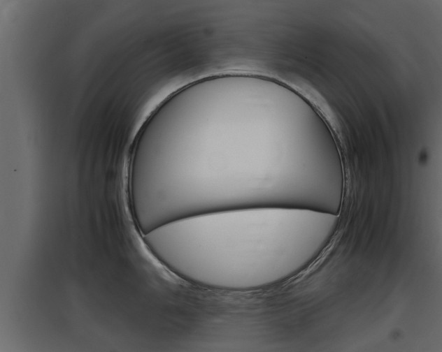 X0000097761006200803070832