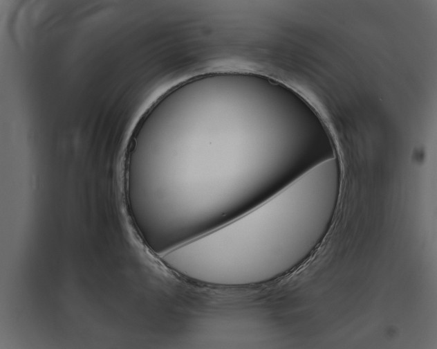 X0000097761008200803070832