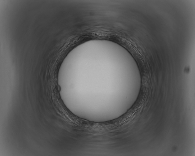 X0000097761009200803070832
