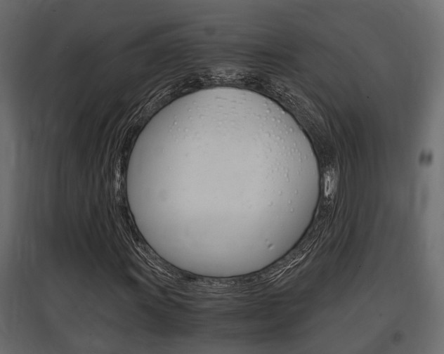 X0000097761011200803070832