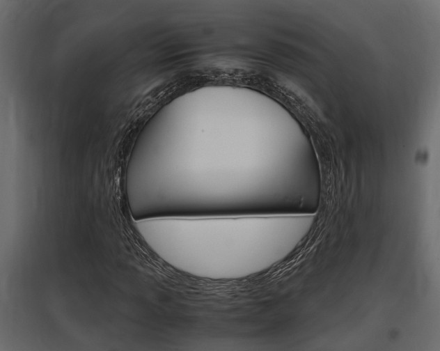 X0000097761013200803070832