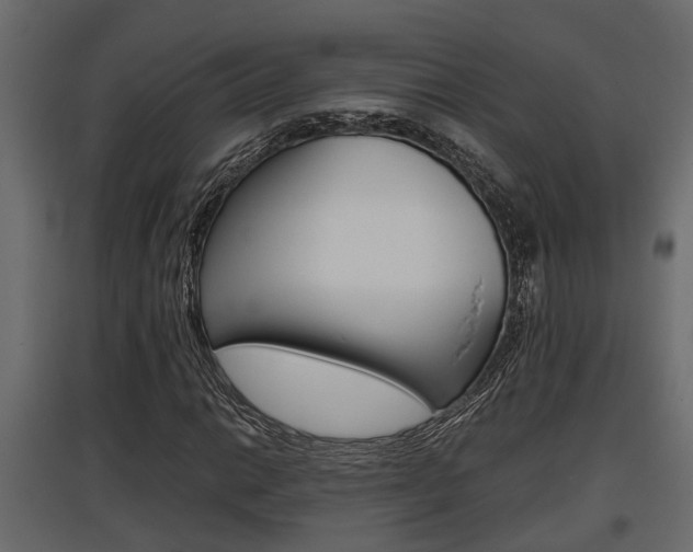 X0000097761014200803070832