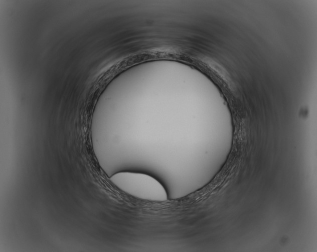 X0000097761015200803070832