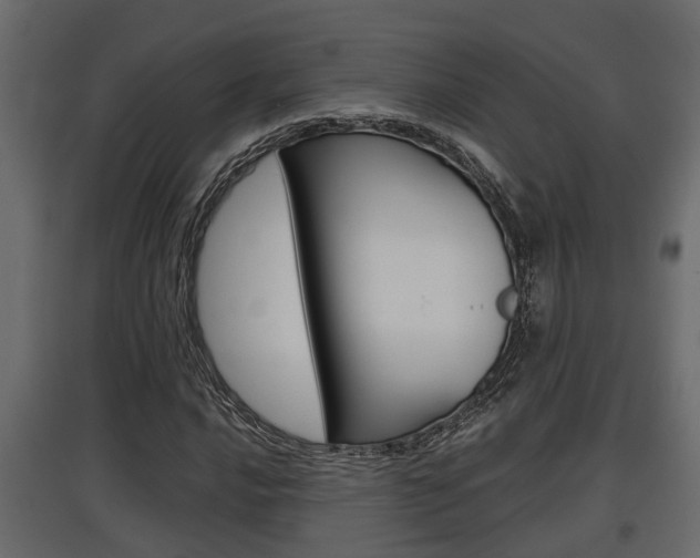 X0000097761016200803070832