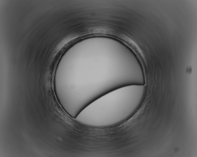X0000097761019200803070832