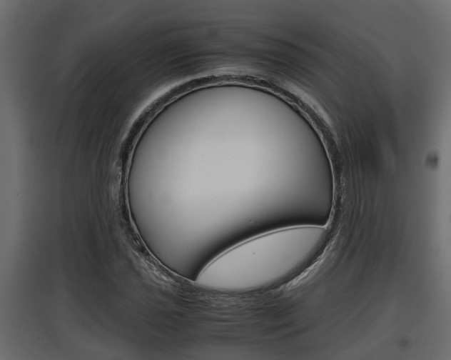 X0000097761021200803070832
