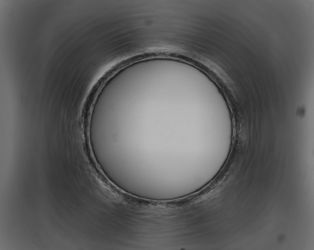X0000097761022200803070832